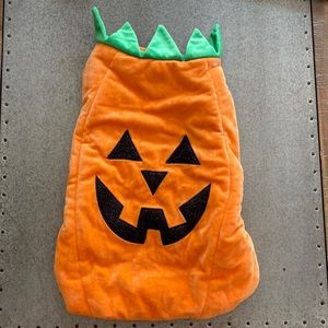 Dog Jack o lantern Halloween costume